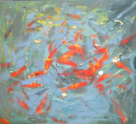 Goldfish